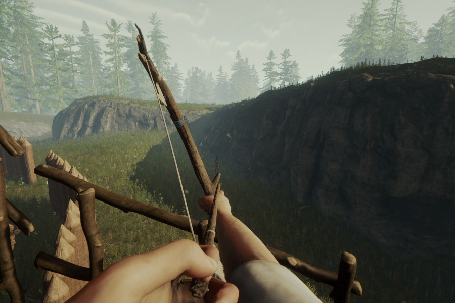 Скрин из игры The Forest